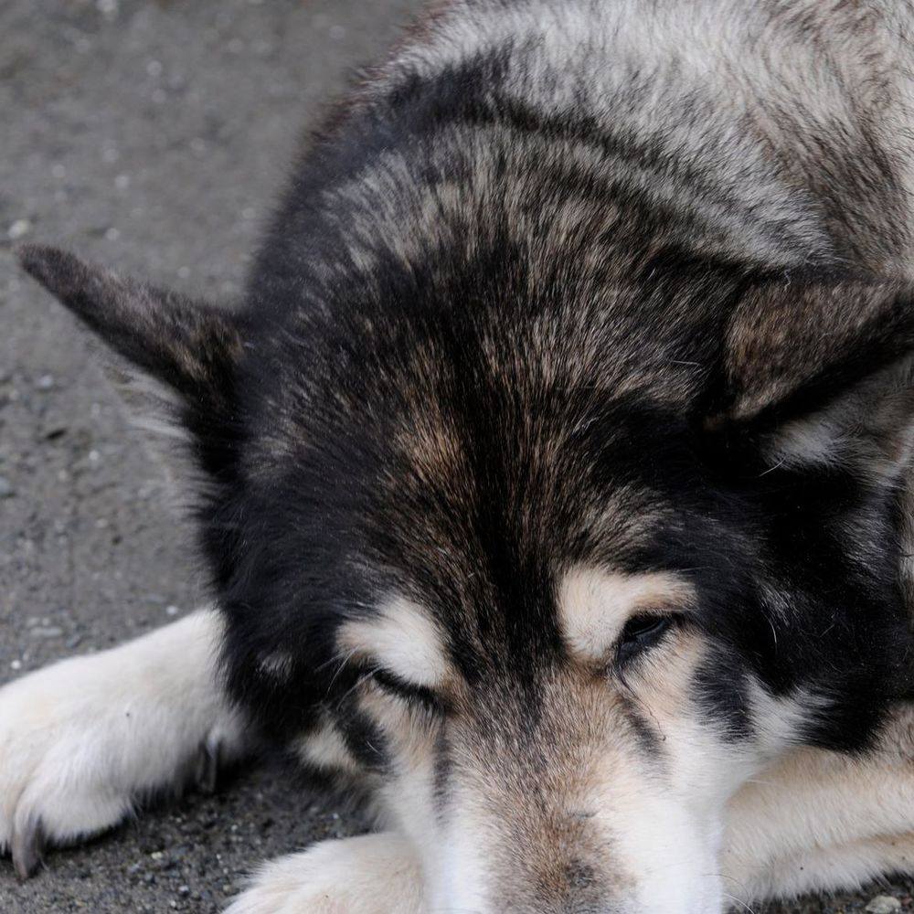 Meet your Posher, Kristan